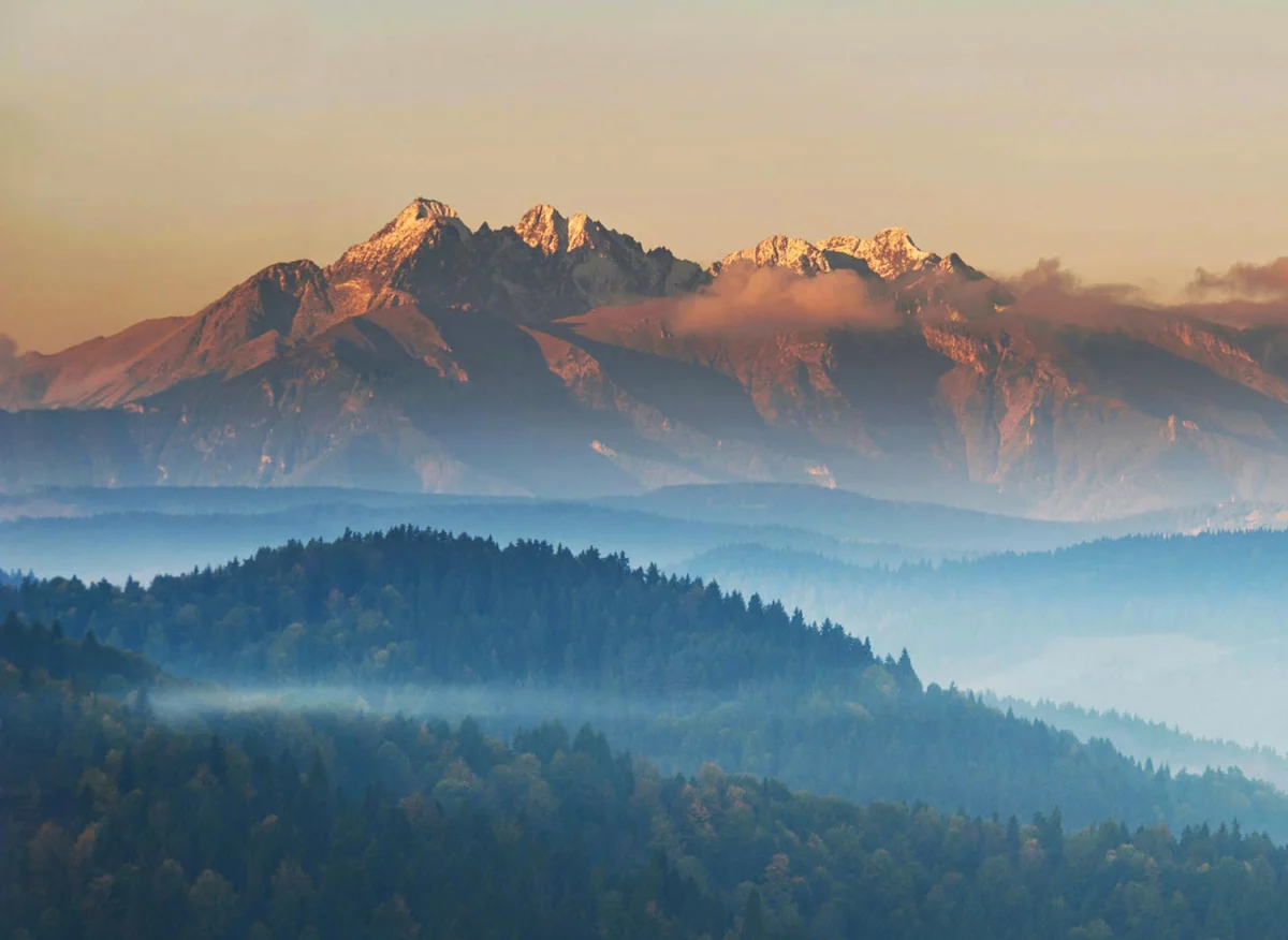 Gdzie znaleźć pomoc prawną?