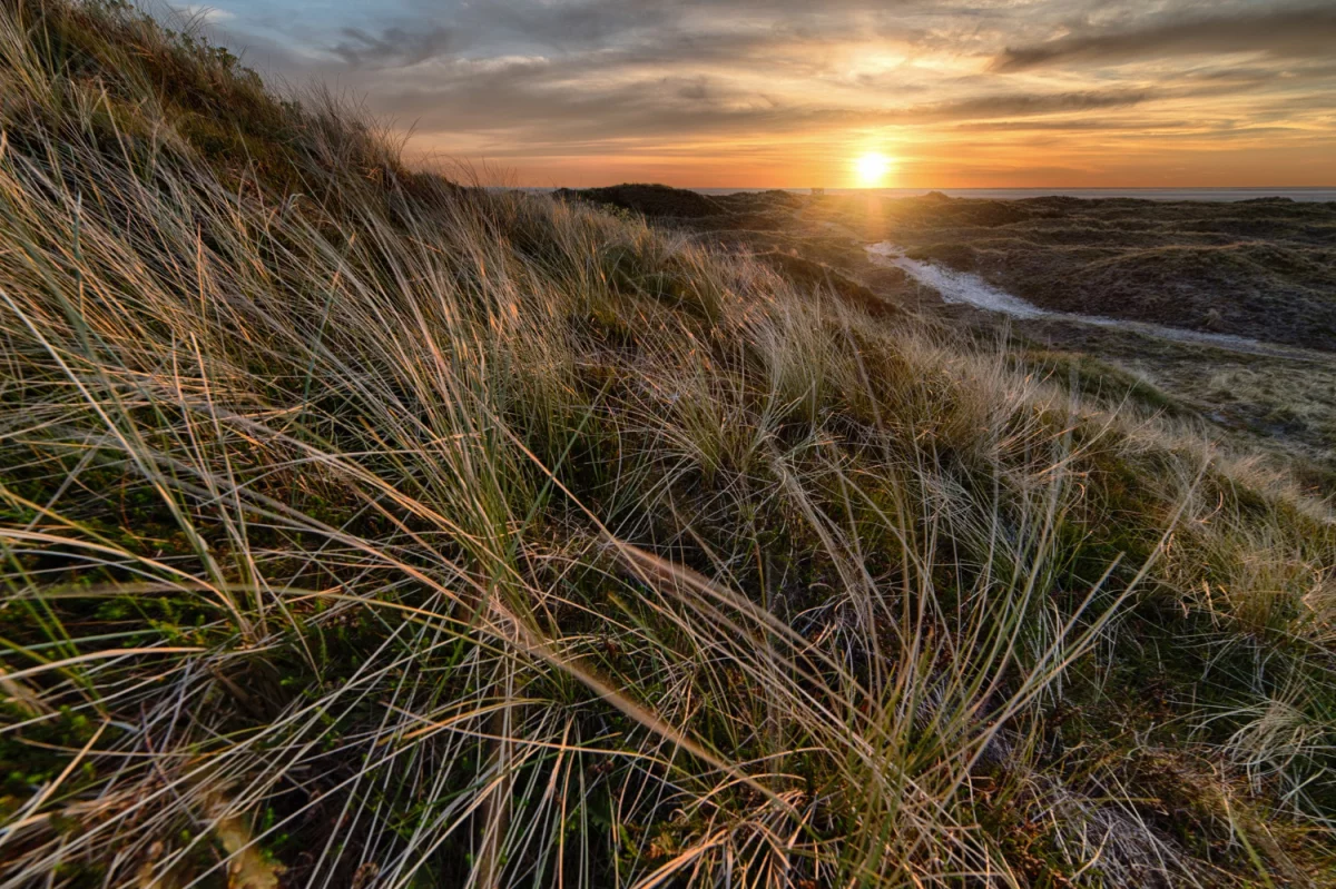 Nowe metody w 2023 jak lepiej  kupić komputer