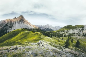 Czy są nowe przepisy jak Oddać elektrośmiecie w Warszawie?