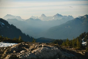 Czy można kupić fotowoltaikę we własnym domu?